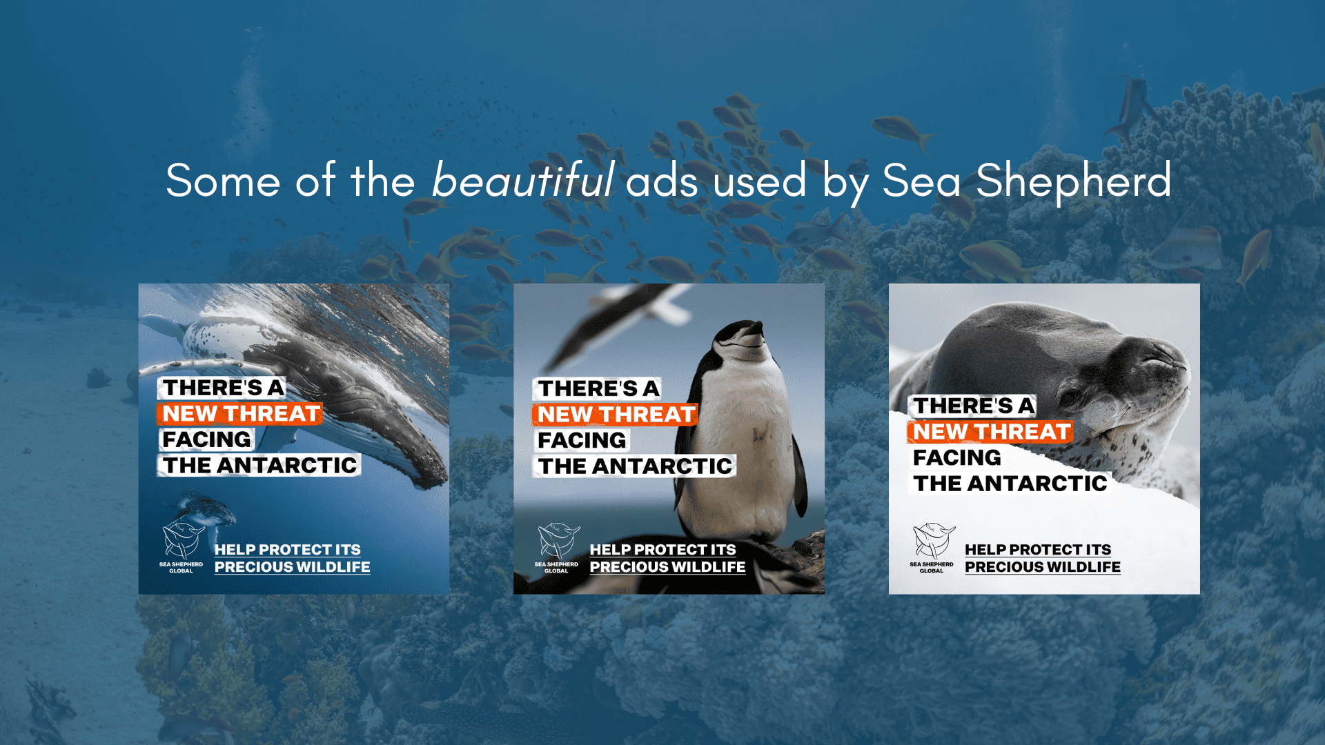 Beautiful Ads by Sea Shepherd - Antarctic Campaign